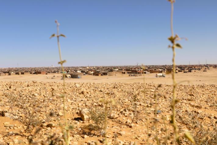 The Sahrawis: 50 years as refugees